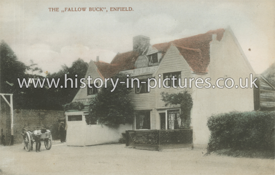 The Fallow Buck, Public House, Enfield, Middlesex. c.1905